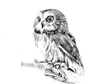 Small Owl Realistic Drawing-original Pencil - Etsy
