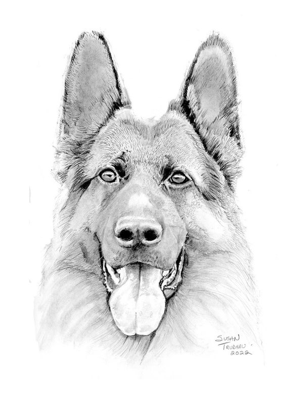 Dog Head Front View Drawing Step by Step  EasyDrawingTips