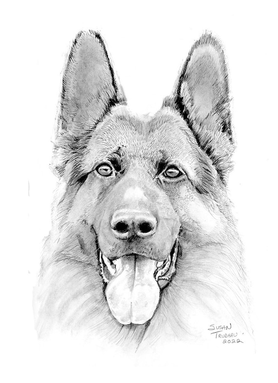 Dog Drawing Realistic dog Face Realistic Portrait Etsy dog-drawing-realistic-dog-face-realistic-portrait-etsy