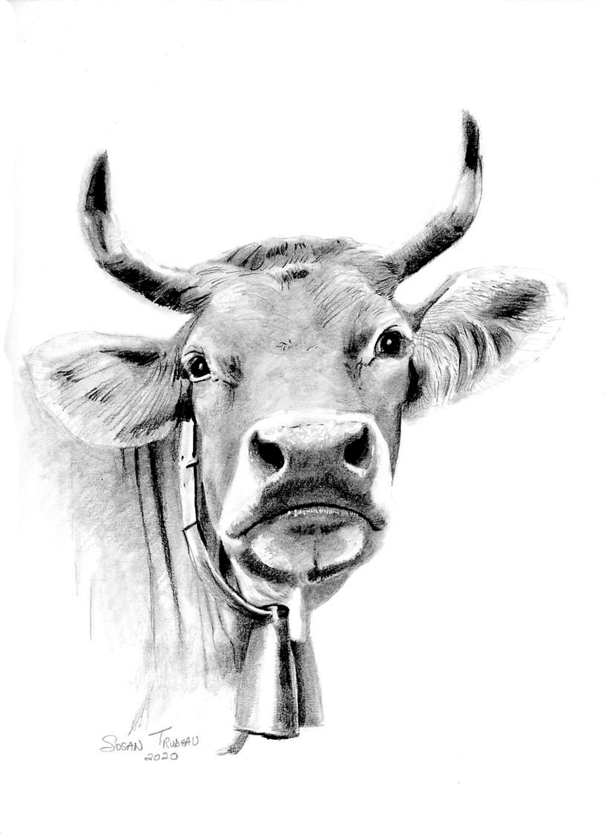 Colouring Book Cow Images – Browse 8,018 Stock Photos, Vectors, and Video |  Adobe Stock