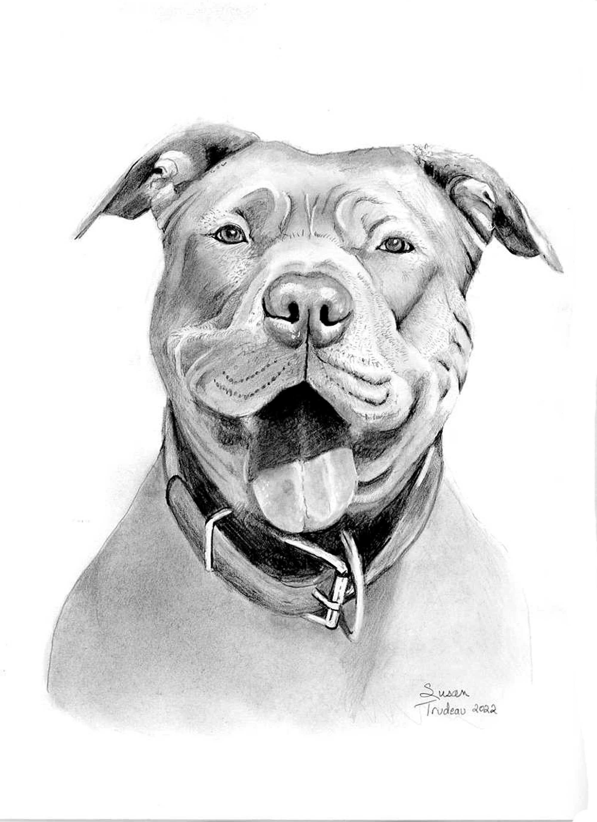 How To Draw A Realistic Bull Dog