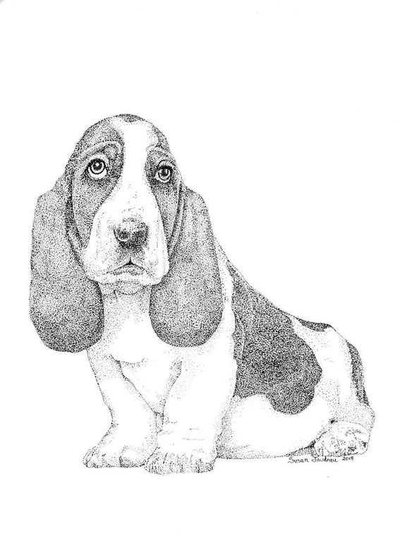 Are Basset Hounds Hyper