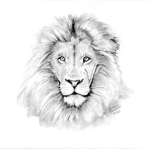 Lion Realistic Drawing-Lion King-Graphite Pencil-Realistic Animal Sketch-Original Art-Pencil Black and White Drawing-Animal