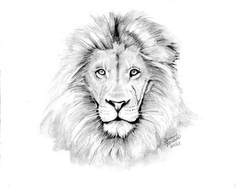 Lion Pencil Artwork - Etsy Lion Pencil Artwork - Etsy