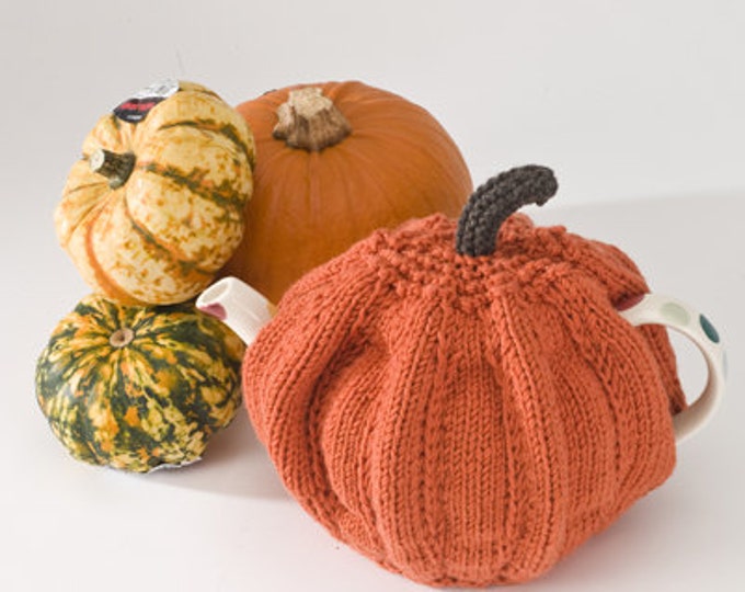 Pumpkin Tea Cosy Knitting Kit Etsy