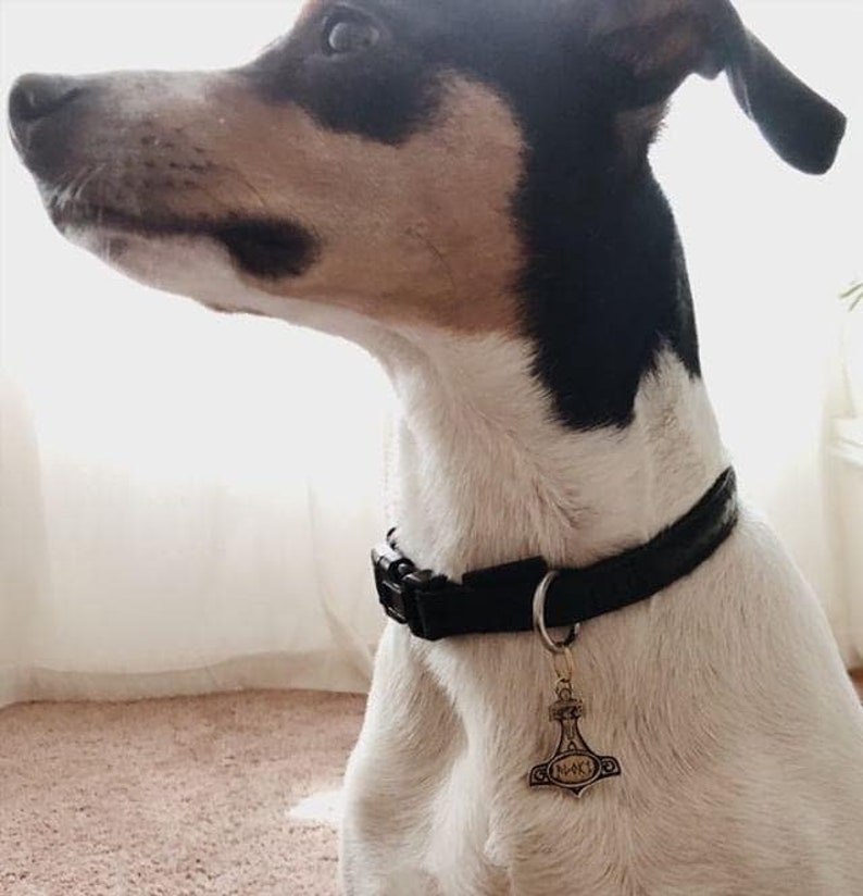 PET engraved ID Tag Mjolnir the hammer of Thor. You can Etsy