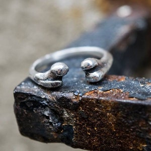 Anillo de huesos