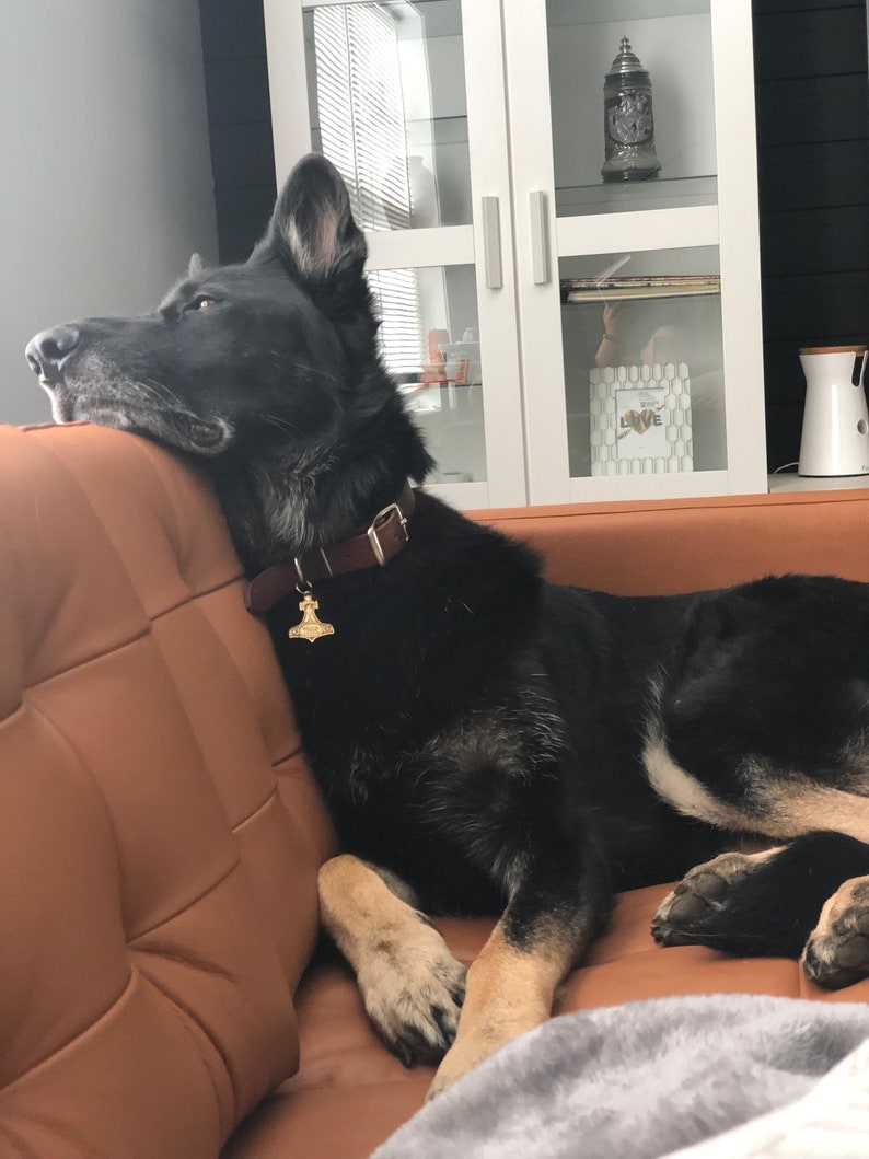 PET Engraved ID Tag Mjolnir the Hammer of Thor. You Can Etsy