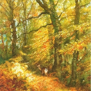 May include: A watercolour painting of a deer standing in a woodland with yellow and green leaves. The deer is brown with white spots and has antlers. The woodland is lush and green with sunlight shining through the trees.
