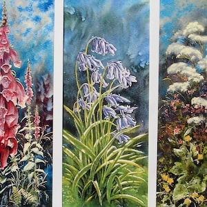 Foxgloves, Bluebells and Wilflowers. Flower, Wildlife, Woodland and Seascape Originals and signed prints.