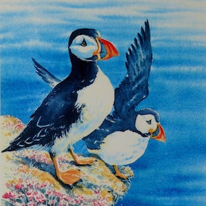 Puffins - Skomer Island." A signed and limited print by Andrew Bailey. Birds, Wildlife, Flower, Seascapes and Woodland paintings and prints.