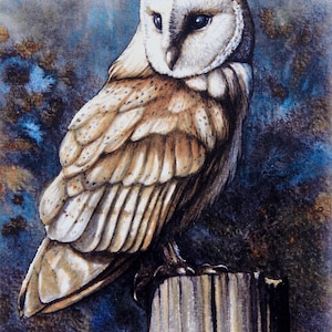 Barn Owl signed print, Owl paintings, Welsh art by Andrew Bailey. Wildlife pictures, bird pictures, art, paintings. Wales. Pembrokeshire,