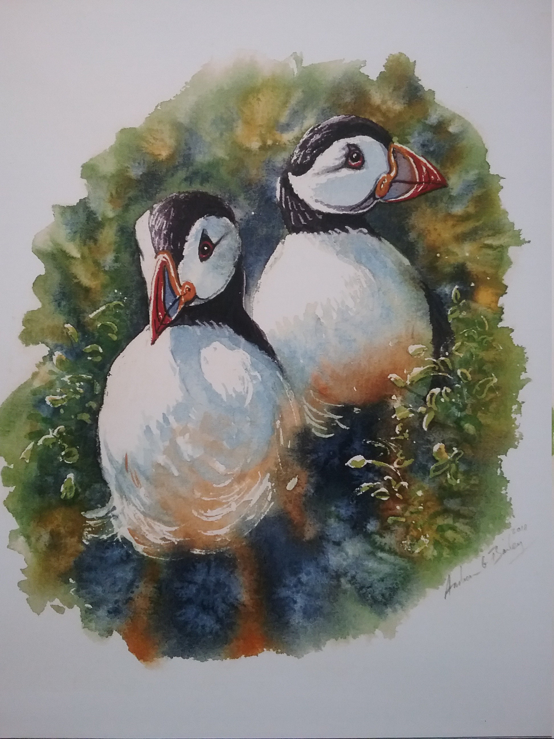 Puffins. Puffin painting, Puffin picture, Welsh art, Pembrokeshire art, Bird paintings, Bird art by Andrew Bailey. Wildlife paintings, coast