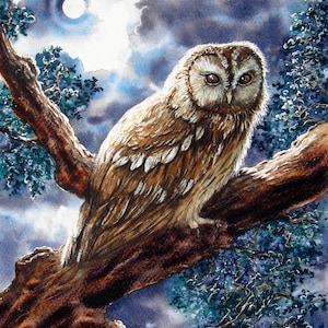 A Tawny Moon. A signed and numbered print by Andrew Bailey. Tawny Owls,Barn Owls, Hares, Birds,  Woodland and Flower Originals and prints.