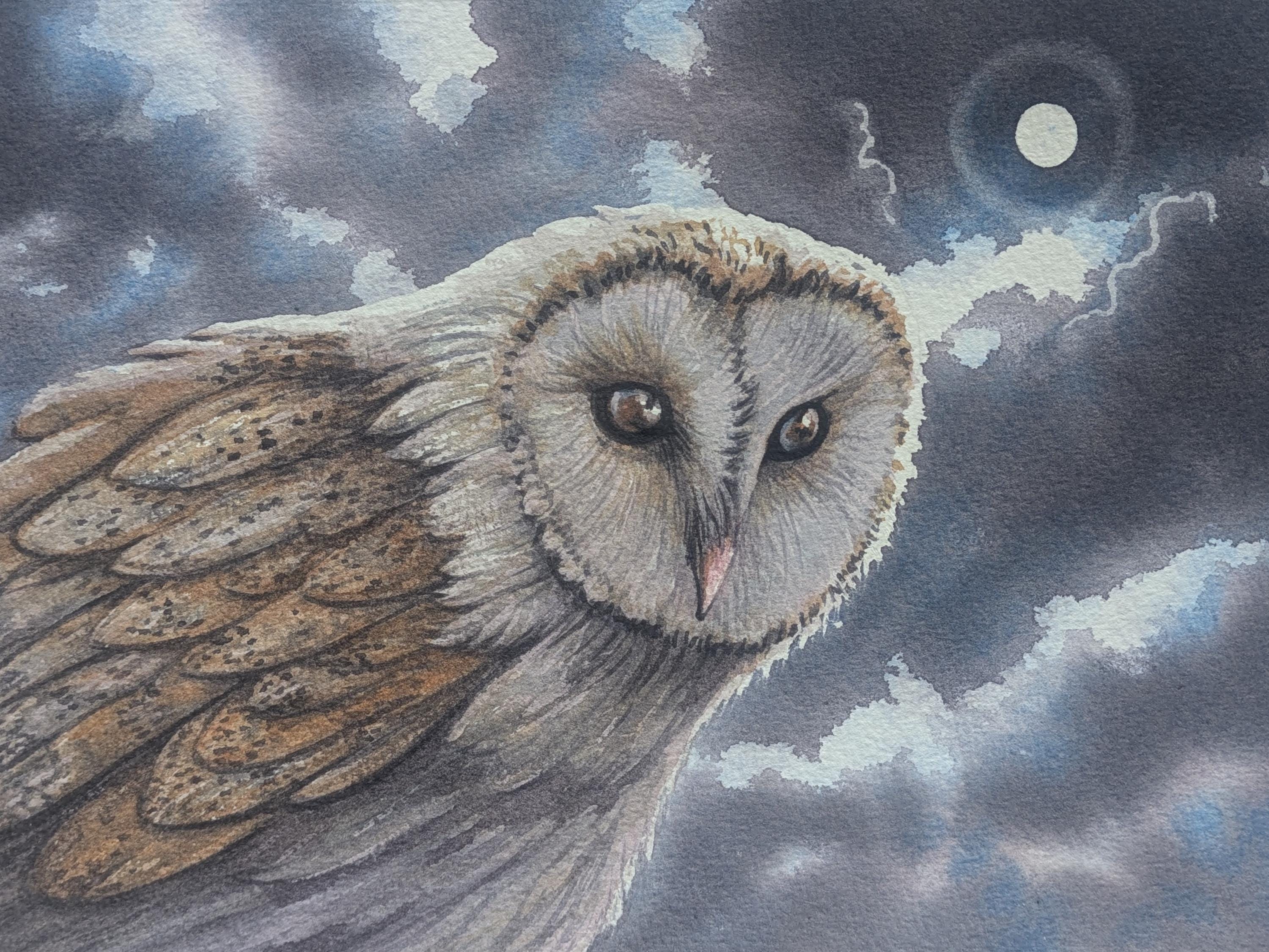 Original Watercolour of a Barn Owl. Owl paintings. Original wildlife art. Andrew Bailey art. Welsh a