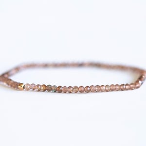 May include: A delicate bracelet featuring small, round, faceted beads in shades of brown and tan. A small gold-colored bead accents the design. The bracelet is strung on a thin, flexible cord, suitable for everyday wear.