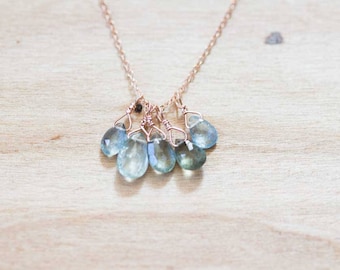 Mos Aquamarijn ketting, cluster hanger aan Rose Gold Fill of Sterling zilveren ketting, delicate maart Birthstone ketting, Aquamarijn sieraden