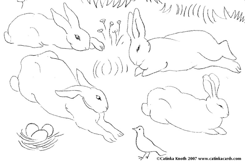 Download Animal Coloring Book pages cards pdf polar bears penguins ...