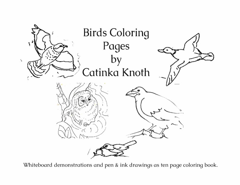 Download Birds Coloring 10 page pdf book hummingbirds orioles ...