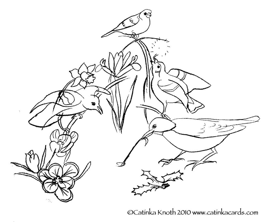 Spring Birds Flowers Coloring Page Printable Pdf Wall Art - Etsy