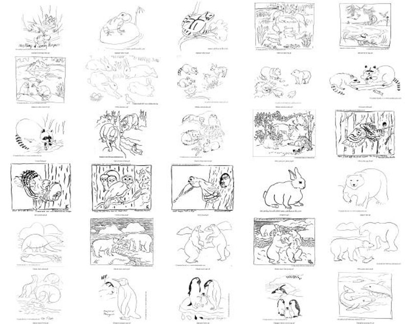 Download Animal Coloring Book pages cards pdf polar bears penguins | Etsy