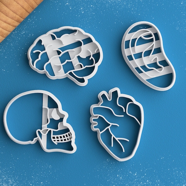 Anatomy Cookie Cutter Set - Medical Student Gift Anatomical Heart Cookie Cutter