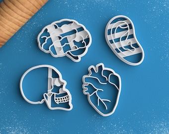 Anatomy Cookie Cutter Set - Medical Student Gift Anatomical Heart Cookie Cutter