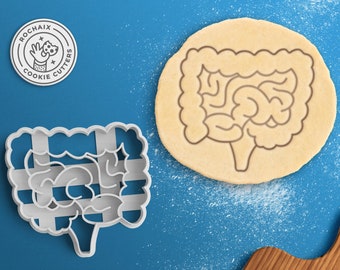 Anatomical Intestines Cookie Cutter – Anatomical Cookie Cutter Anatomy Cookies Halloween Cookies Human Doctor Nurse Medical Student Gift