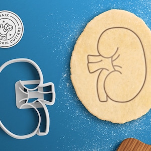 Kidney Cookie Cutter – Anatomy Cookie Cutter Medical Student Gift