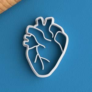 Anatomie Ausstecher Set Medizinstudent Geschenk Anatomisches Herz Ausstecher Bild 2