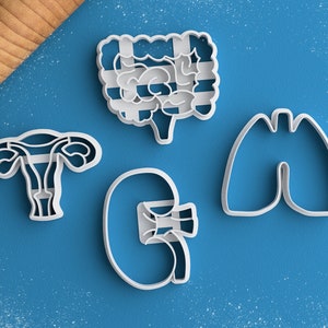 Anatomy Cookie Cutter Set - Medical Student Gift Anatomical Kidney Cookie Cutter