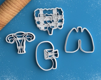 Anatomy Cookie Cutter Set - Medical Student Gift Anatomical Kidney Cookie Cutter