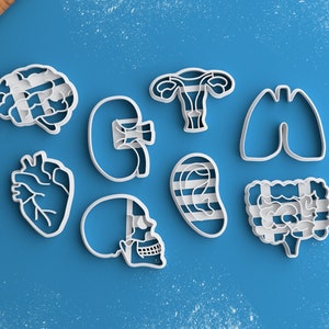 Conjunto de cortadores de biscoitos de anatomia - presente para estudantes de medicina Cortador de biscoitos de coração anatômico