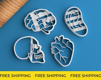 Anatomy Cookie Cutter Set - FREE SHIPPING Medical Student Gift Anatomical Heart Cookie Cutter