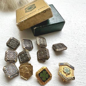 Vintage 4-H Pins Set with Montgomery Ward Box: Dress Revue, Home Ec Medals