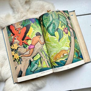 1940 More Adventures reading book Readers book kids English short story 1940s home decor text book school pictures gift illustrated  text
