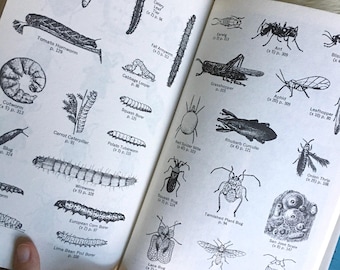 1966 Organic Way Plant Protection Book: Rare Gardening Edition