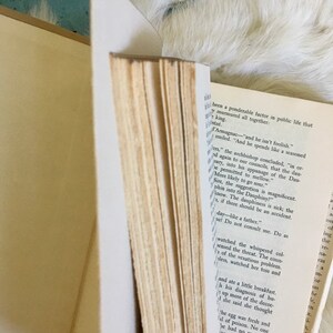 May include: A close-up of a book with yellowed pages and a brown cover. The text on the page reads "been a ponderable factor in public life that y murmured all together: king. r&eacute;z&eacute;. l'Armagnac - "and he isn't foolish." smiled. "And he spends like a seasoned ers," the archbishop concluded, "in or ad again to our councils, that the dau sary, into his appanage of the Dau- be permitted to mellow." More likely to go sour." Sire, the suggestion is magnificent. phin into the Dauphiny?" know. The dauphiness is sick; the s, if there should be an accident. day-like a father." nel Do not consult me. Do as watched the whispered col- sensed the threat. The coun- of the vexatious problem. bless, watched her toss and and ate a little breakfast. h his diagnosis of hu- up more of the decoc- 1 she said she thought The egg was fresh and al of poison. No one he had no enemies. neone might strike thing he loved, a felt pains in her another poule." ke that. I have"