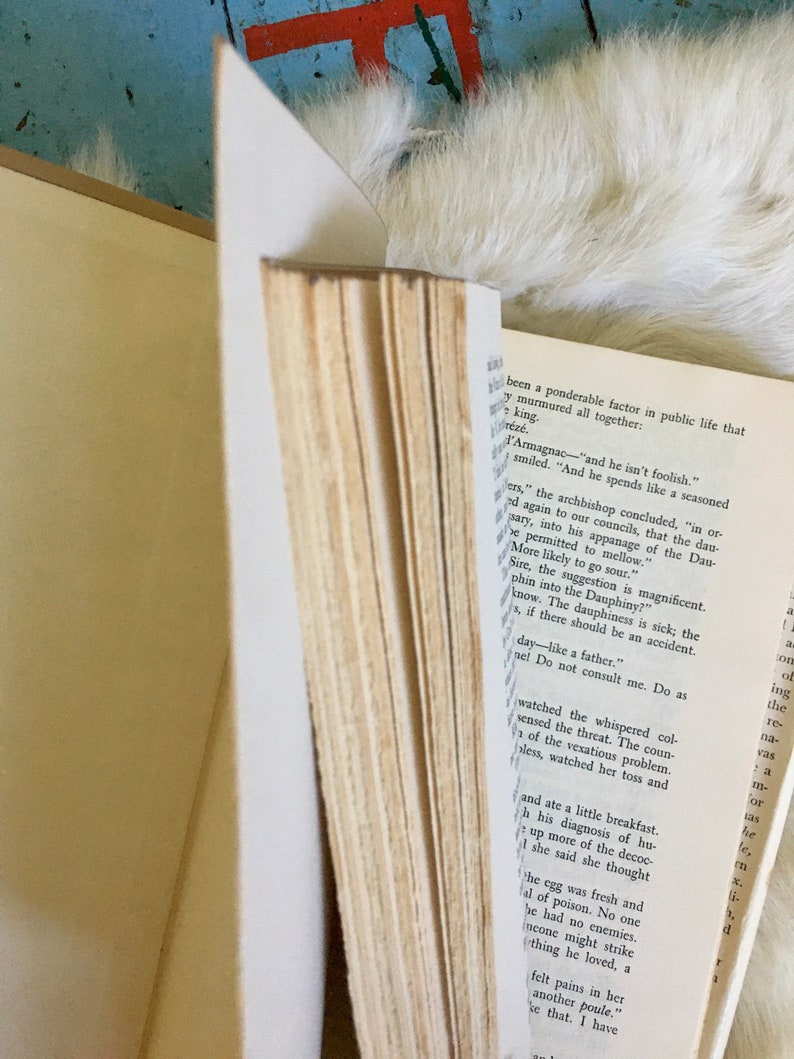 May include: A close-up of a book with yellowed pages and a brown cover. The text on the page reads "been a ponderable factor in public life that y murmured all together: king. r&eacute;z&eacute;. l'Armagnac - "and he isn't foolish." smiled. "And he spends like a seasoned ers," the archbishop concluded, "in or ad again to our councils, that the dau sary, into his appanage of the Dau- be permitted to mellow." More likely to go sour." Sire, the suggestion is magnificent. phin into the Dauphiny?" know. The dauphiness is sick; the s, if there should be an accident. day-like a father." nel Do not consult me. Do as watched the whispered col- sensed the threat. The coun- of the vexatious problem. bless, watched her toss and and ate a little breakfast. h his diagnosis of hu- up more of the decoc- 1 she said she thought The egg was fresh and al of poison. No one he had no enemies. neone might strike thing he loved, a felt pains in her another poule." ke that. I have"