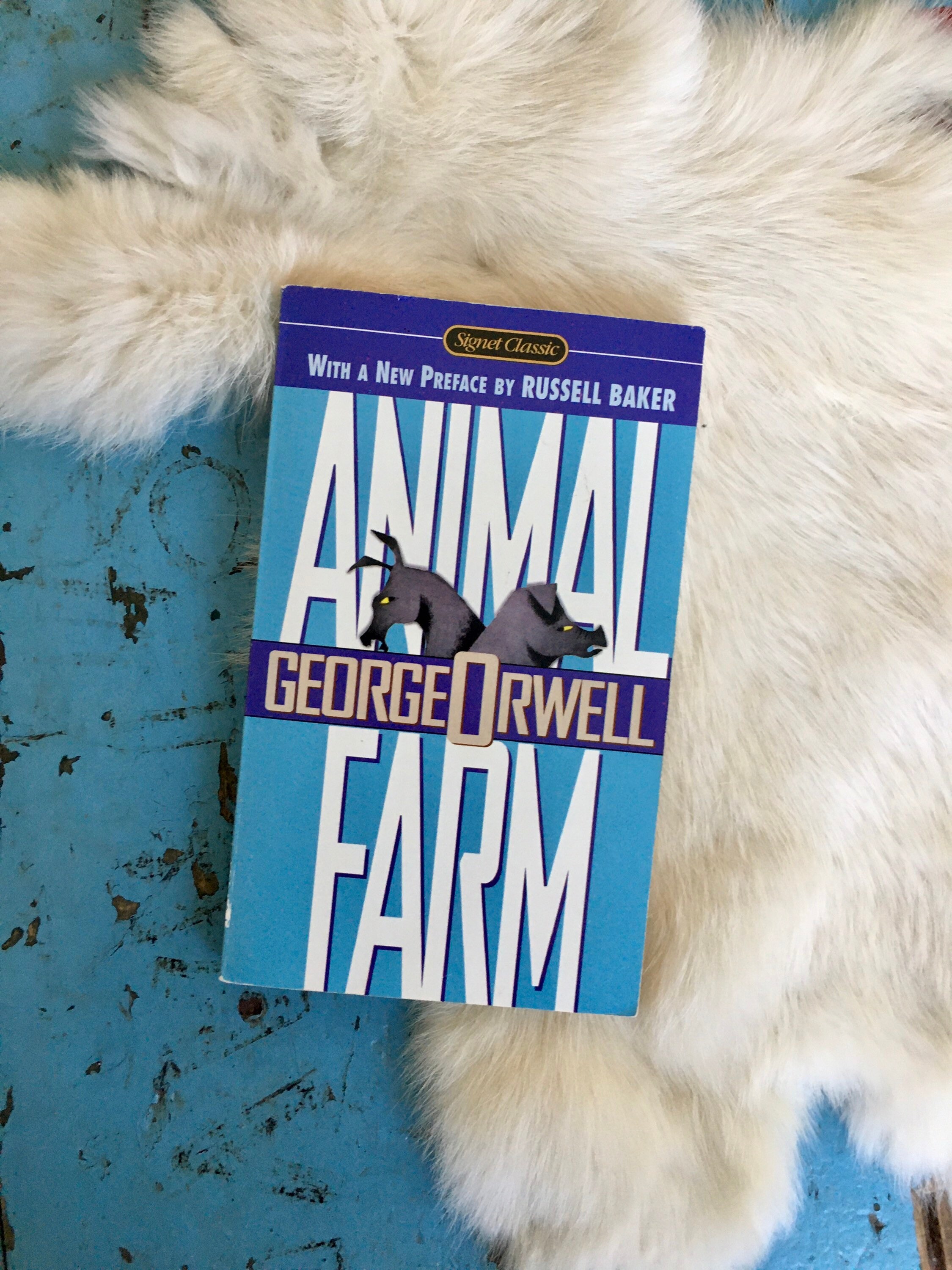Vintage Animal Farm Book George Orwell Literature Fiction - Etsy Australia Vintage Animal Farm Book George Orwell Literature Fiction - Etsy Australia