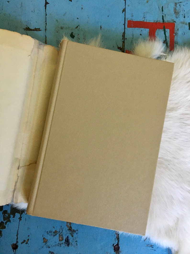 May include: A closed tan hardcover book with a white fur background.