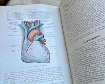1934 Davis’ Applied Anatomy Medical book vintage science biology medical diagrams nurse doctor medicine