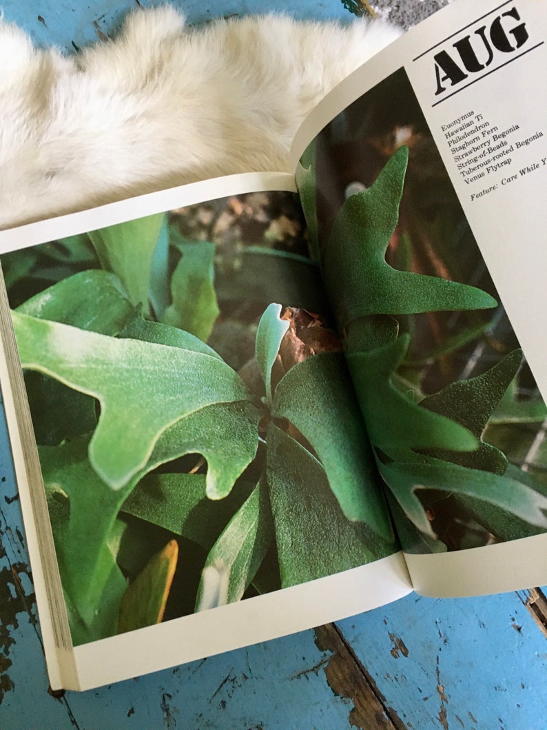 Puede incluir: Un libro abierto con una planta verde en la p&aacute;gina izquierda y texto en la p&aacute;gina derecha. El texto dice "AUG" y enumera varias plantas, incluyendo "Hawaiian Ti", "Staghorn Fern", "Strawberry Begonia", "String-of-Beads", "Tuberous-rooted Begonia", "Venus Flytrap", y "Feature: Care While You".