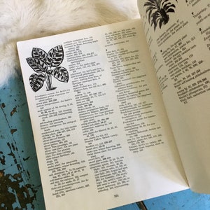 Puede incluir: Una ilustraci&oacute;n en blanco y negro de una planta con hojas grandes y estampadas. La planta se llama 'Scindapsus aureus' y tambi&eacute;n se conoce como 'hiedra del diablo'.