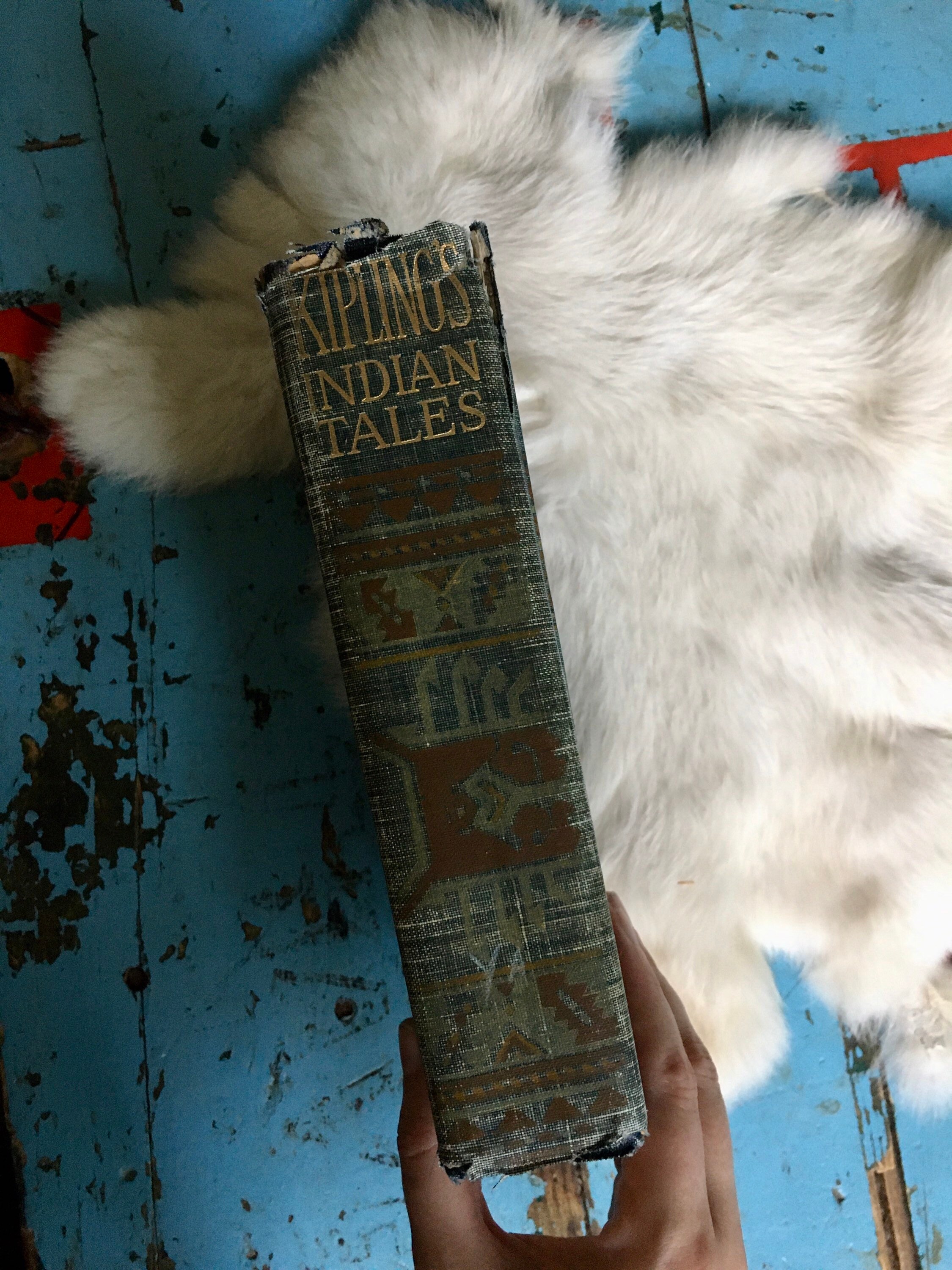 1899 Indian Tales Rudyard Kipling Book History Antique Book Etsy