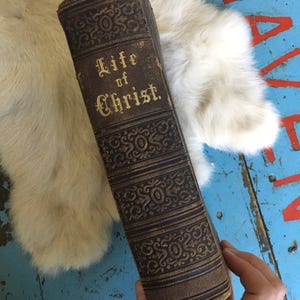 Antique Life of Christ book Reverend John Fleetwood Christianity Jesus Bible home school rare church baptism Bible Study book Christ gift
