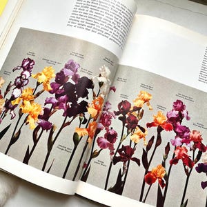 1977 Perennial Garden gardening book 1970 landscaping plant horticulture plant identification garden plant care permaculture homestead gift