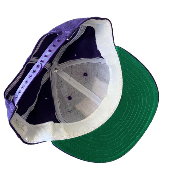 Vintage Northern Iowa Panthers Snapback 