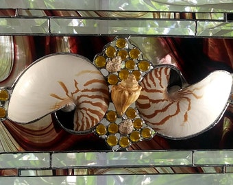 10 X 26 Panel - Natural Nautilus