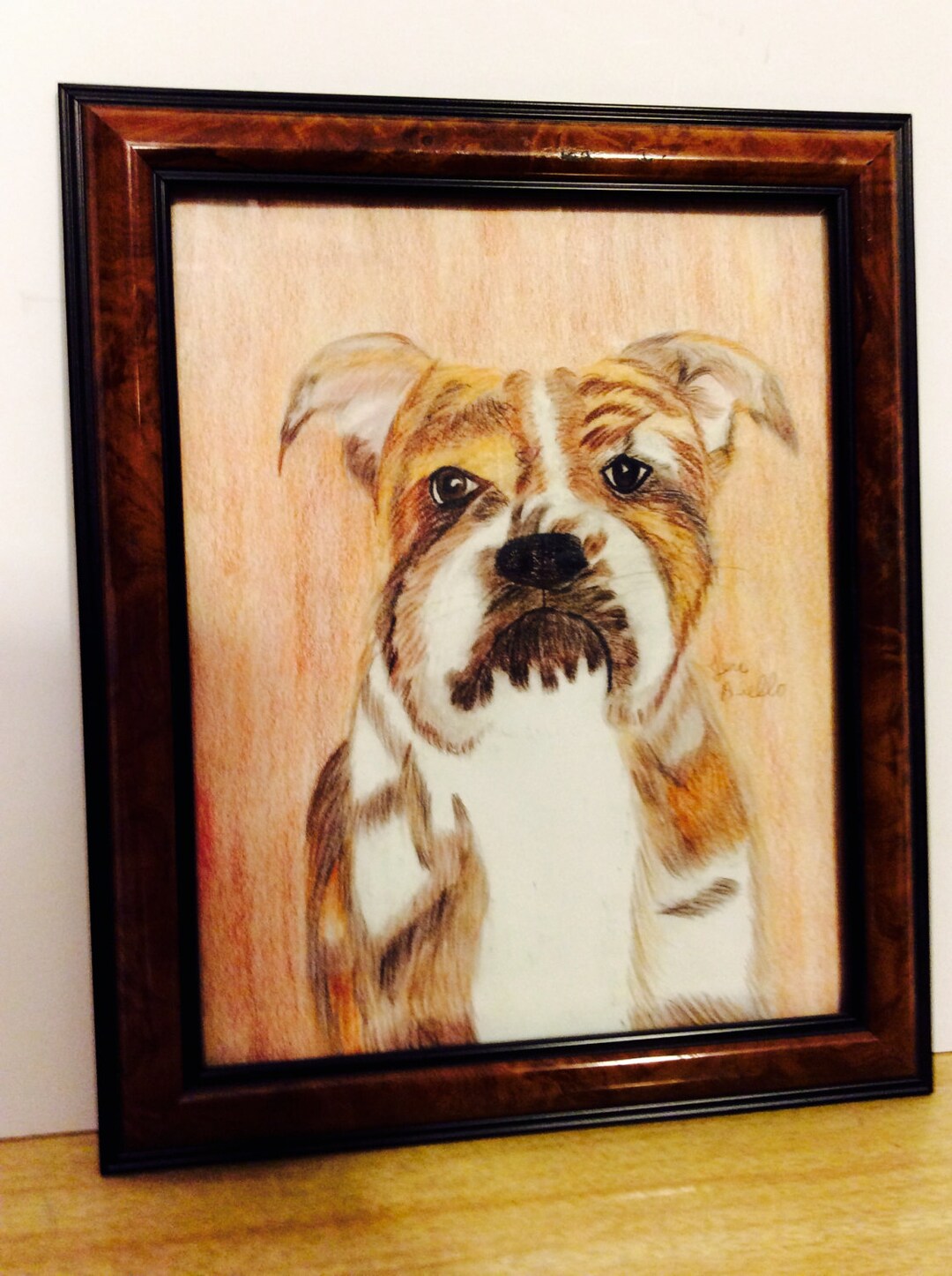 Ouvre-Bouteille Mural Vintage En Fonte - Bouledogue Anglais Orange - Neuf